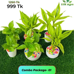 Mix-Ceramic-Comboo-01