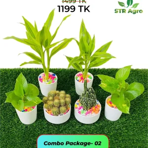 Mix Ceramic Comboo -02