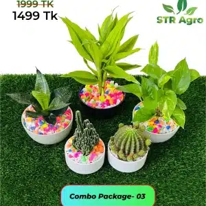 Mix Ceramic Comboo -03