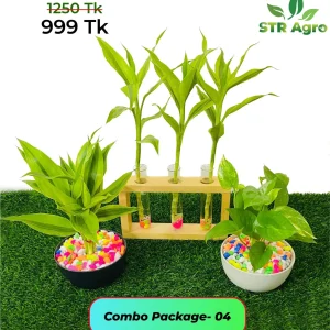 Mix Ceramic Comboo -04