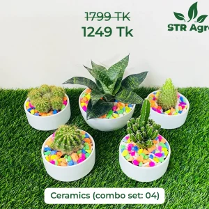 Mix Ceramic Comboo -04 A
