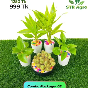 Mix Ceramic Comboo -05