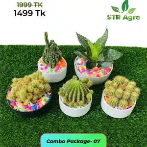 Mix Ceramic Comboo -07