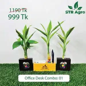 Office Desk Combo-01