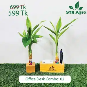 Office Desk Combo-02