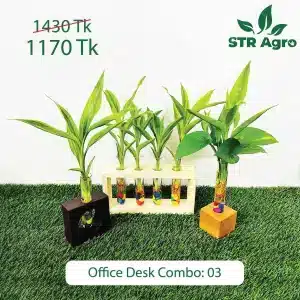 Office Desk Combo -03