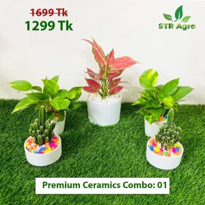 Premium Ceramic Comboo-01