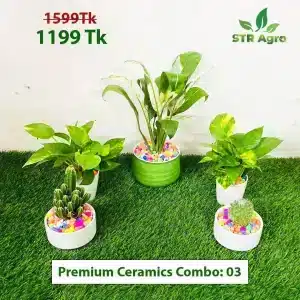 Premium Ceramic Comboo-03